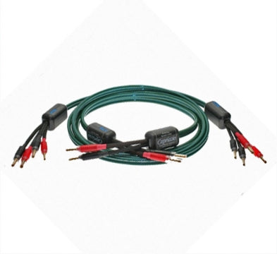 HMS Capriccio BI-Wiring