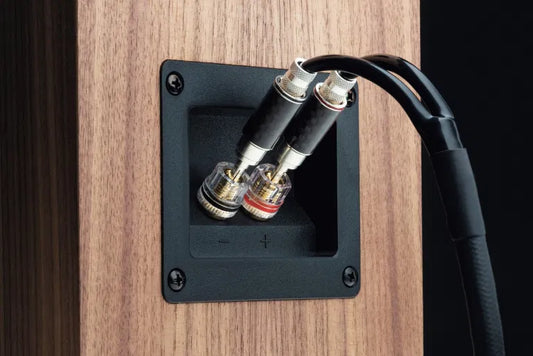 Pro-Ject Speaker Box 5 S2