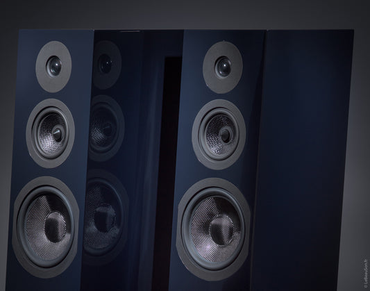 Davis Acoustics Courbet Nr.8