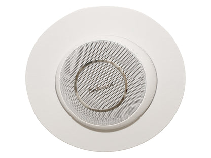 Cabasse Eole InCeiling Adapter für Eole 2, 3 und 4