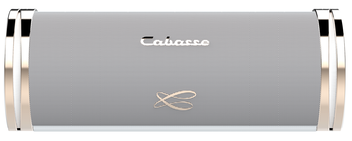 Cabasse Swell