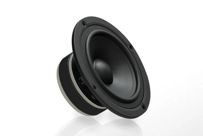 Pro-Ject Speaker Box 5 DS2