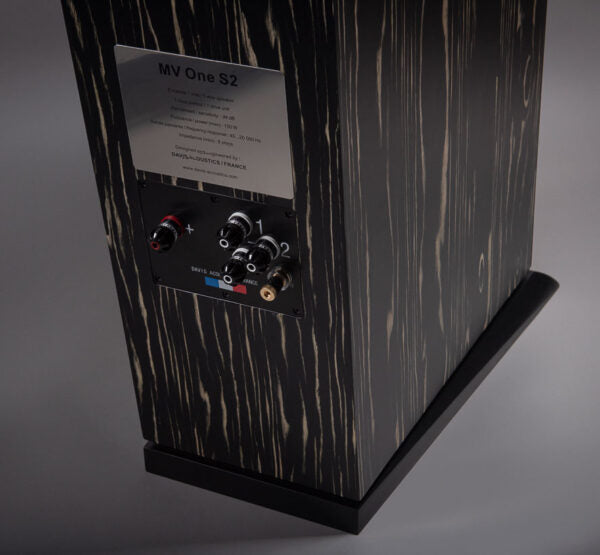 Davis Acoustics MV One Master