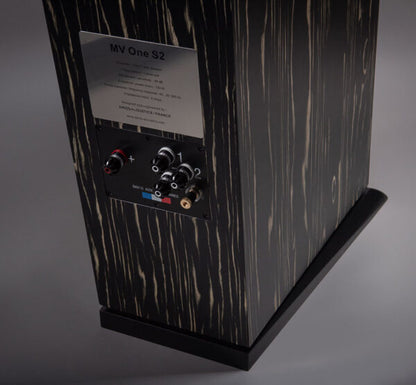 Davis Acoustics MV One Master
