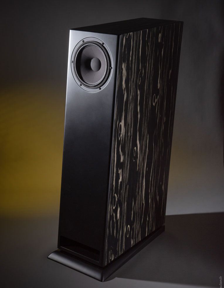 Davis Acoustics MV One Master