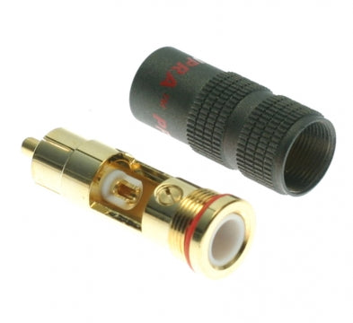 Supra PPX Cinch Stecker