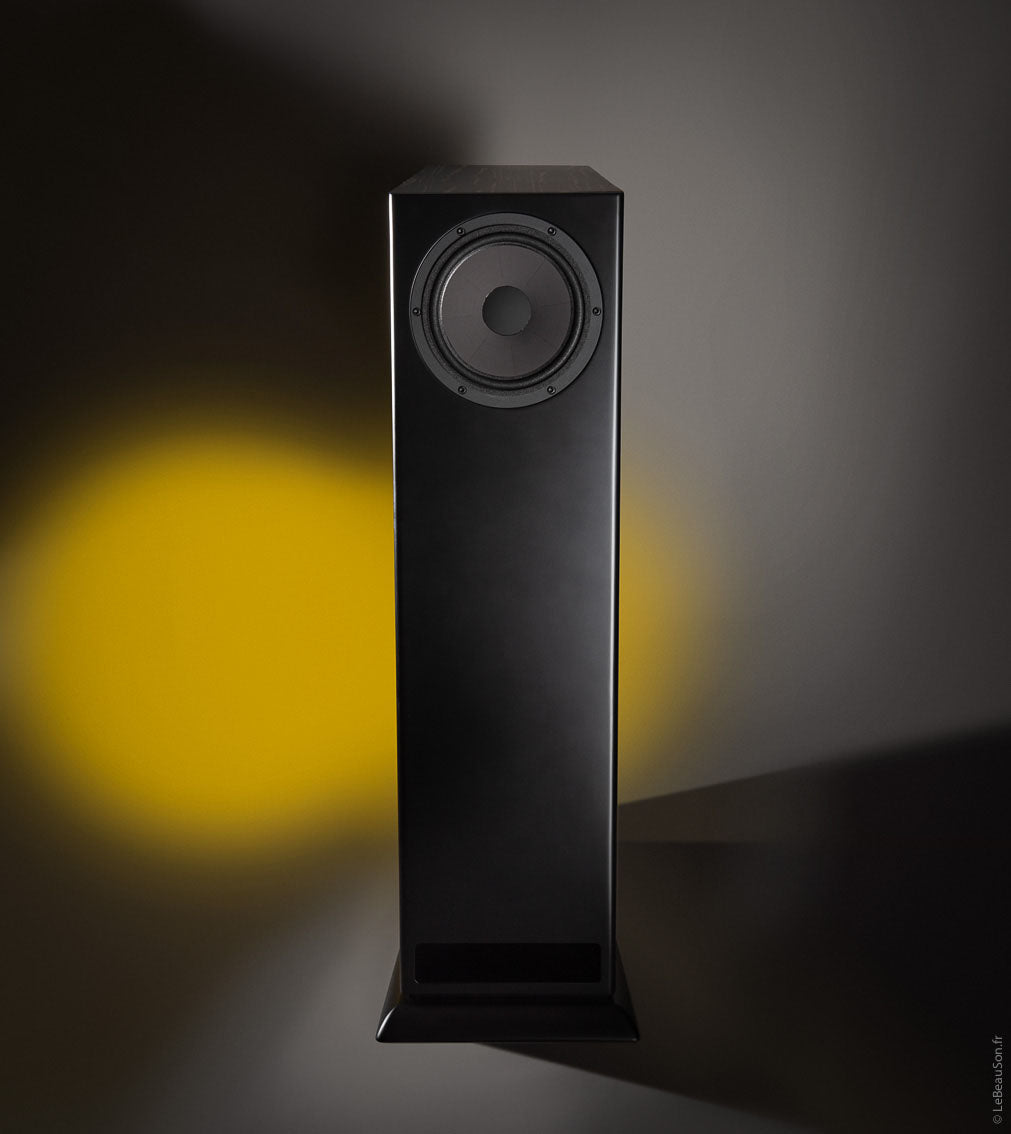 Davis Acoustics MV One Master