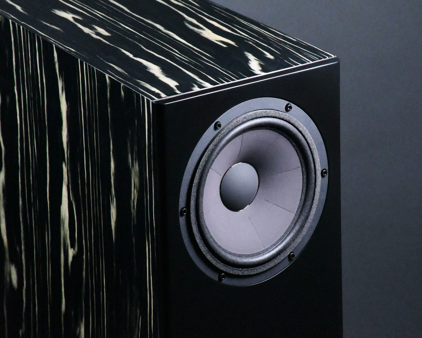 Davis Acoustics MV One Master