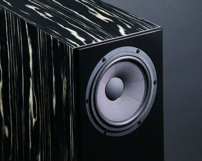 Davis Acoustics MV One Master