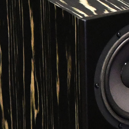 Davis Acoustics MV One Master