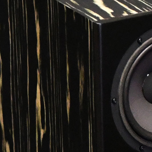 Davis Acoustics MV One Master