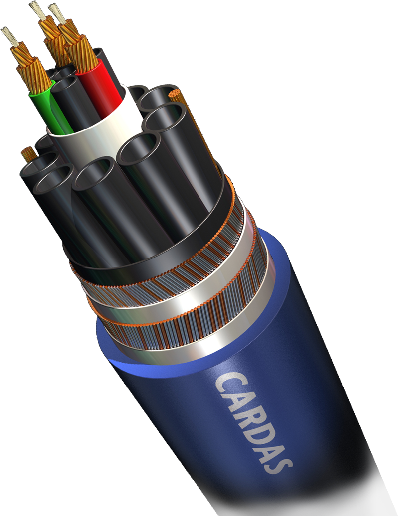 Cardas Clear Interconnect